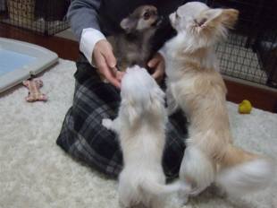 DSCF0925(補).jpg