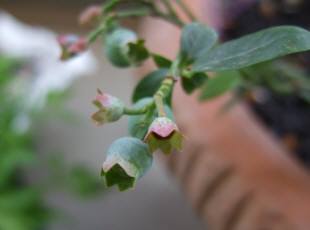 DSCF3498(補.jpg
