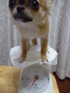 DSCF42398補9.jpg