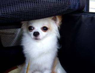 DSCF6909(補).jpg