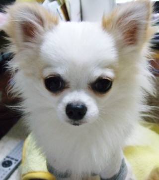 DSCF8775(補).jpg