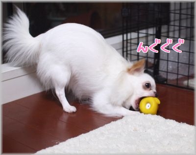 んぐぐぐ.jpg