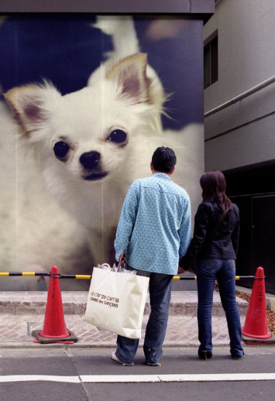 PhotoFunia-3b9d06.jpg