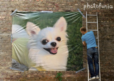 PhotoFunia-3c828c.jpg
