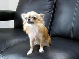 img55641554.jpg