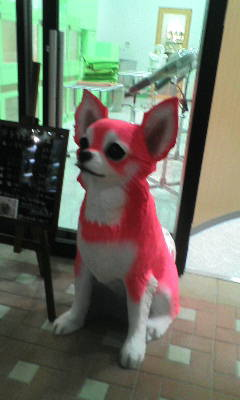pinkチワワ.jpg