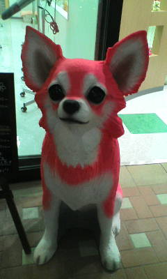 pinkチワワ2.jpg